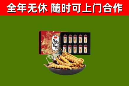 普宁市回收冬虫夏草价格